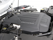 ジャガー Fタイプ Rｸｰﾍﾟ AWD ｴｸｽﾃﾘｱｽﾎﾟｰﾂﾃﾞｻﾞｲﾝﾊﾟｯｸ&ﾌﾞﾗｯｸﾊﾟｯｸ　赤/黒革 ｶﾞﾗｽﾙｰﾌ 純正ﾅﾋﾞ MERIDIANｻﾗｳﾝﾄﾞ F/Bｶﾒﾗ ｶｰﾎﾞﾝｲﾝﾃｱﾘﾄﾘﾑ ｴｸﾞｿﾞｰｽﾄｼｽﾃﾑ ｶｰﾎﾞﾝｾﾗﾐｯｸﾌﾞﾚｰｷ  ｲｴﾛｰｷｬﾘﾊﾟｰ 純正20ｲﾝﾁｽﾄｰﾝAW　2年保証付